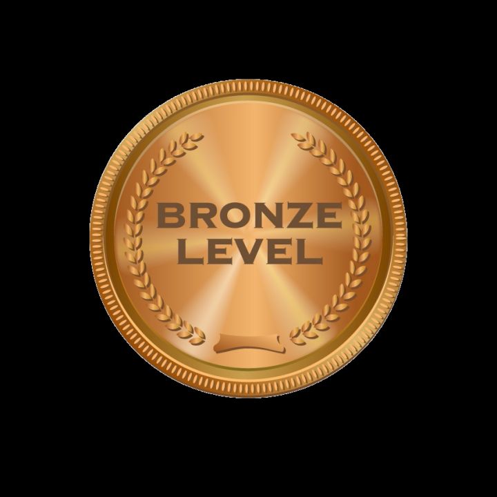 Bronze Level Sponsor