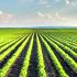 Taiwan To Invest $5.56B In AR. Agriculture
